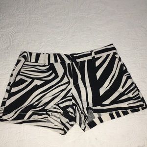 LOFT Zebra Shorts